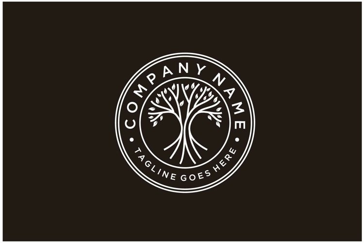 Oak Tree Vector Image 23