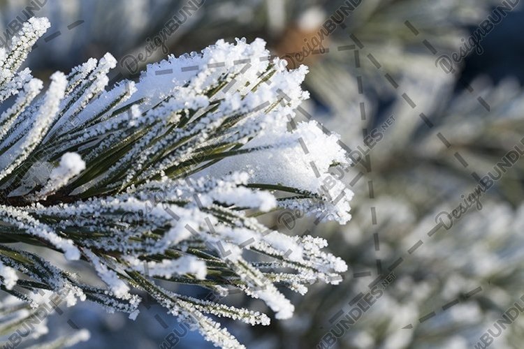 Blizzard Clipart Image 5