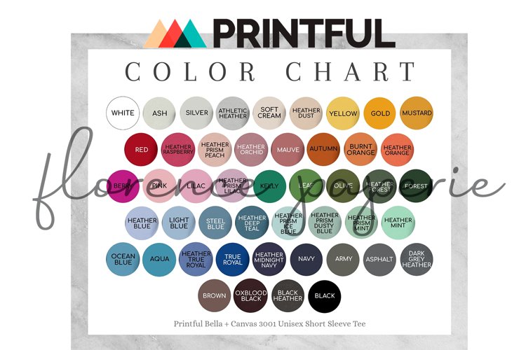 Printful Bella Canvas 3001 Color Chart example image 1