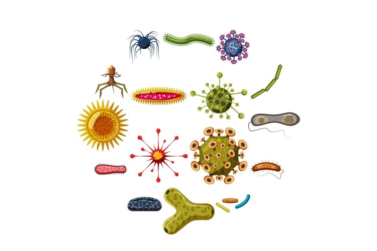 Bacteria Clipart Image 20