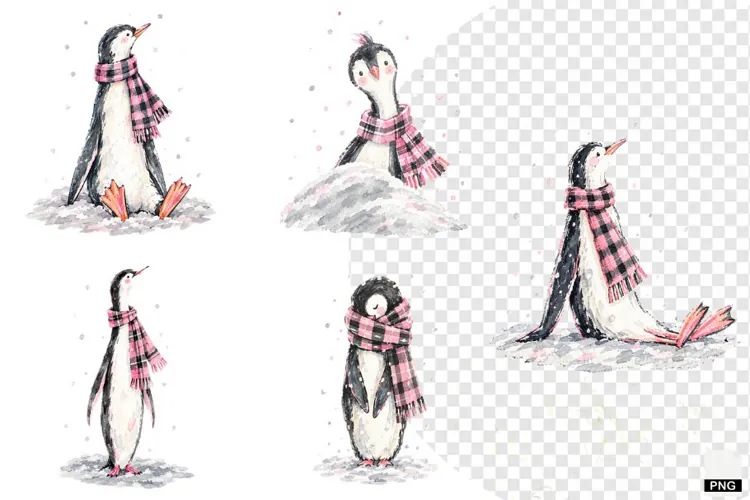 Winter Penguin PNG