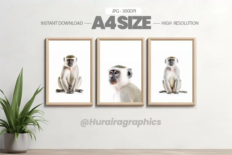 Animal Wall Art - 03 Variations