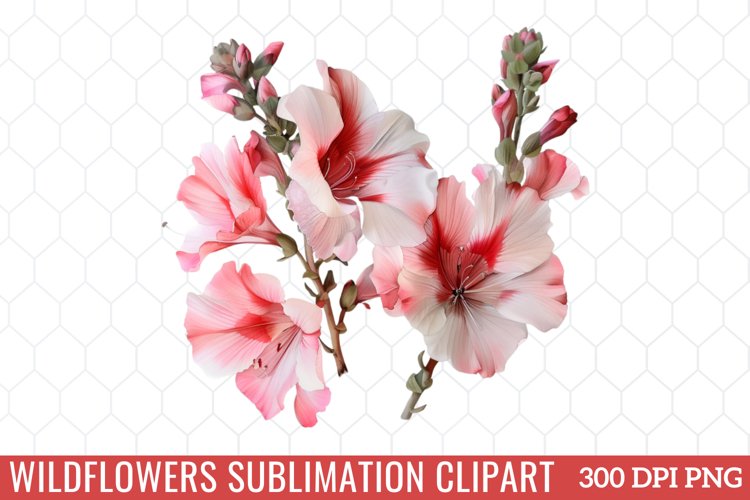 Spring Clipart Image 13