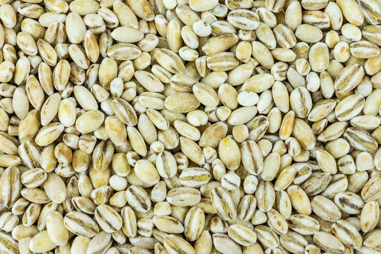 Seed Clipart Image 12