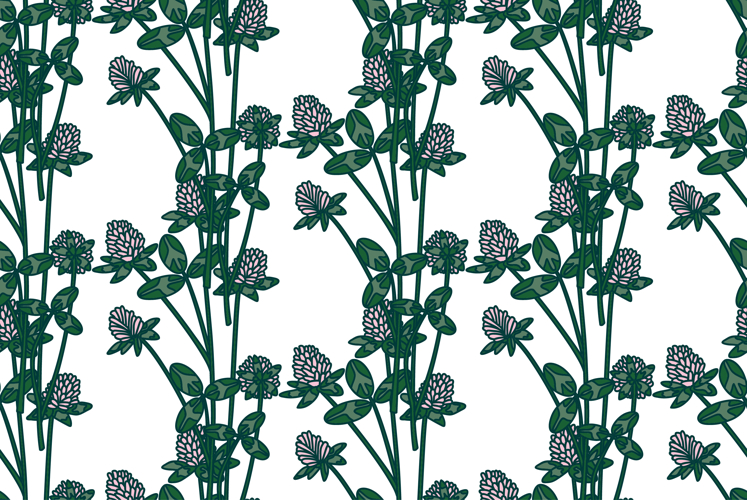 Clover Clipart Image 20