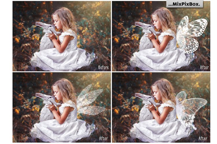 Fairy Wings Overlays