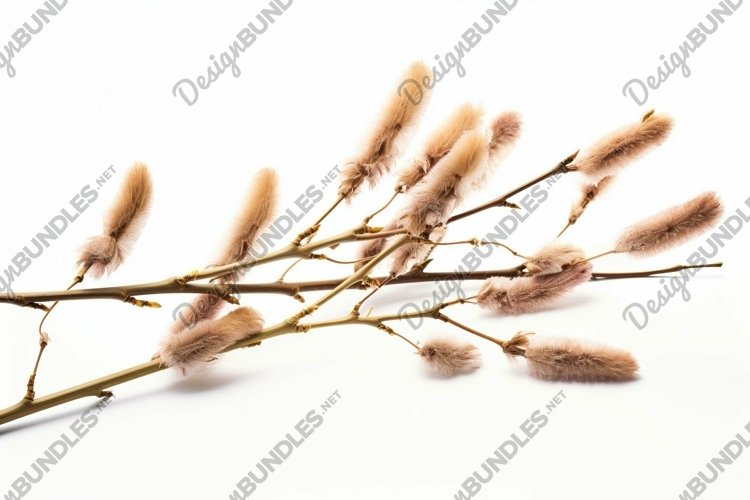Nature Background Image 18