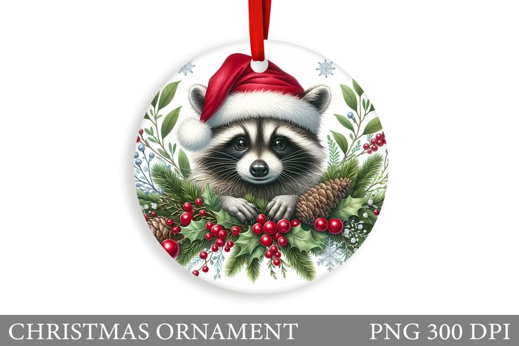 Raccoon Clipart Image 18