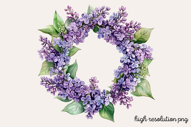 Lilac Illustration Image 6