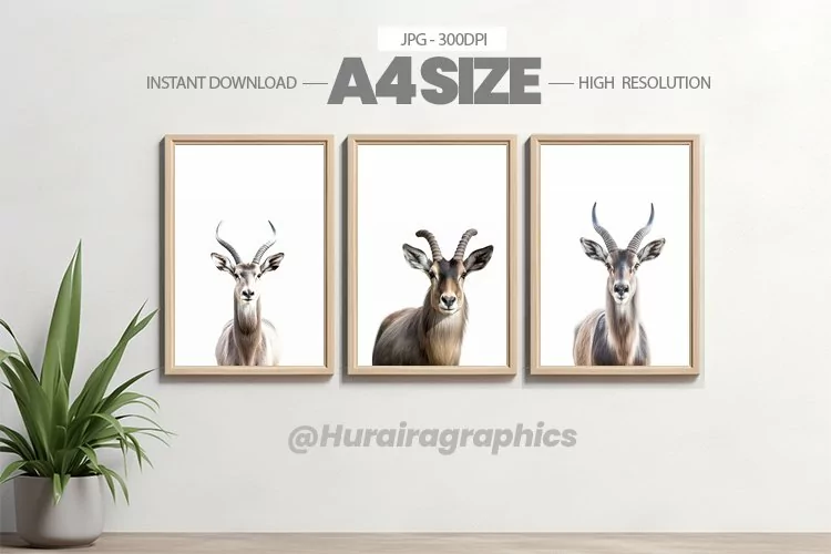 Animal Wall Art - 03 Variations