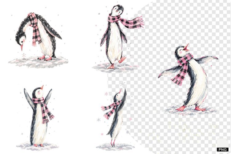 Winter Penguin PNG example image 1