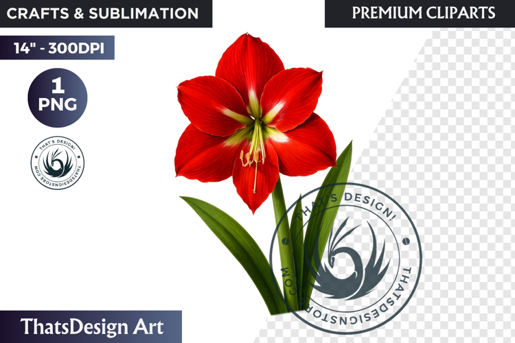 Flower Clipart PNG, Botanical Illustration Floral graphic