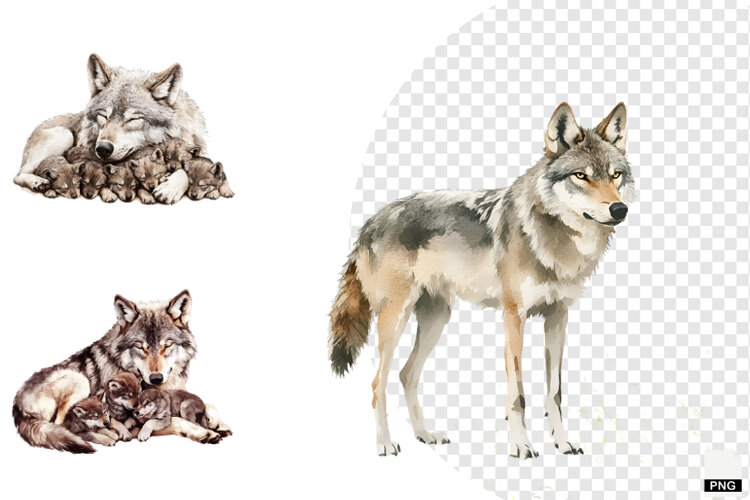Winter Gray Wolves Clipart example image 1