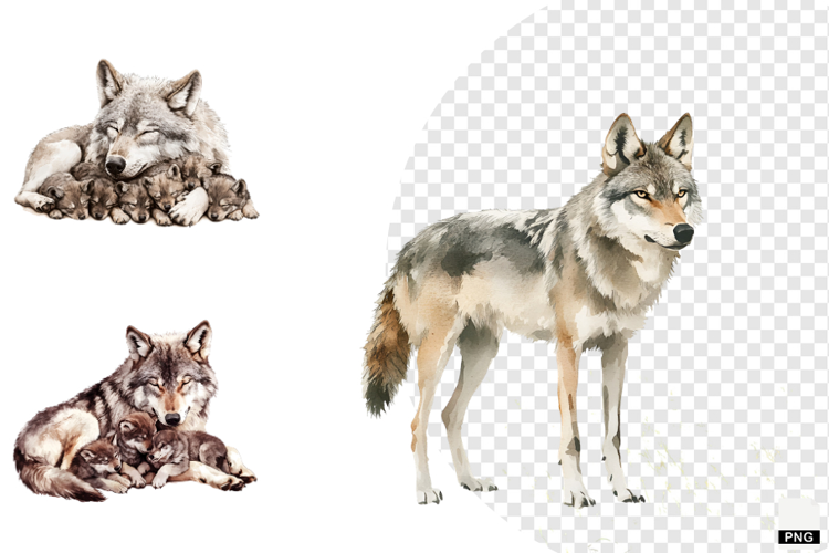 Winter Gray Wolves Clipart