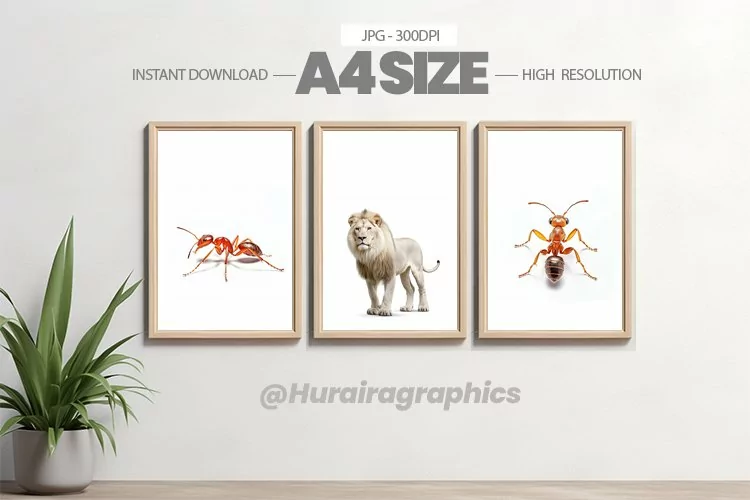 Animal Wall Art - 03 Variations