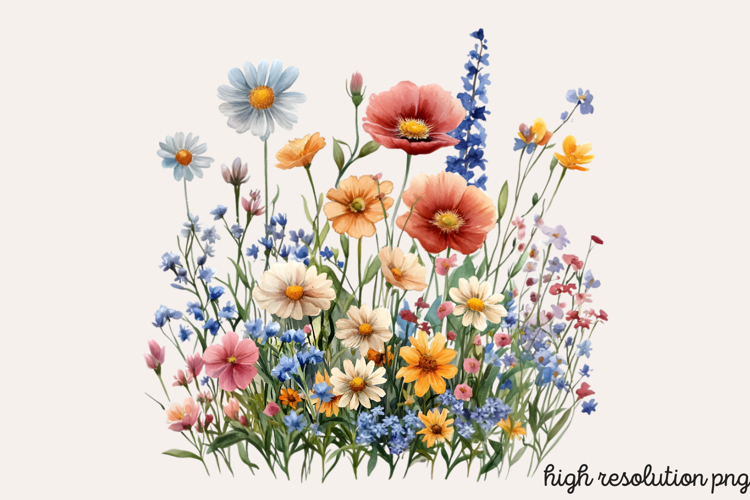 Wildflowers Arrangements Clipart PNG