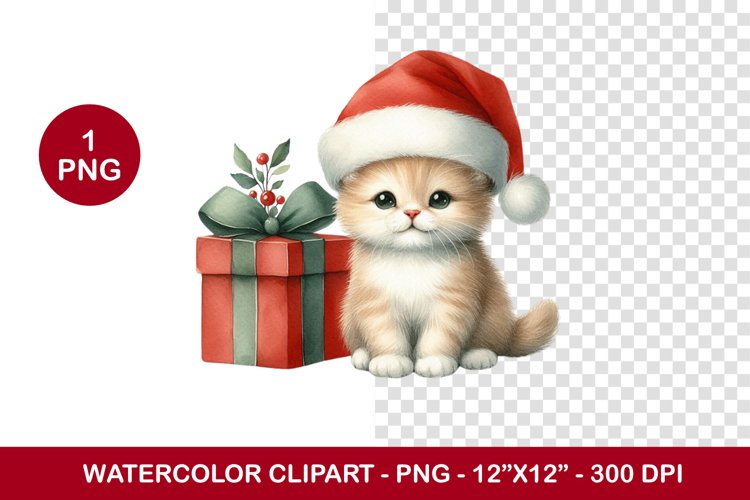 Kitten Png Image 7