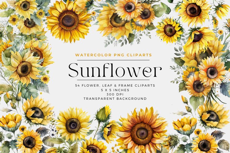 54 Sunflower Watercolor Flowers Clipart