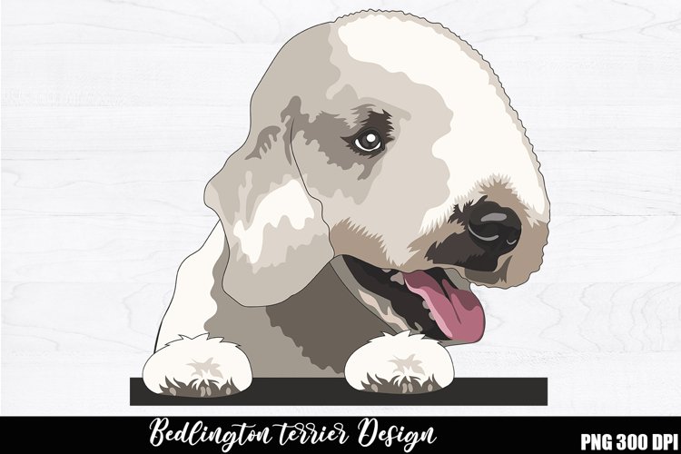 T-Shirt Designs Image 17