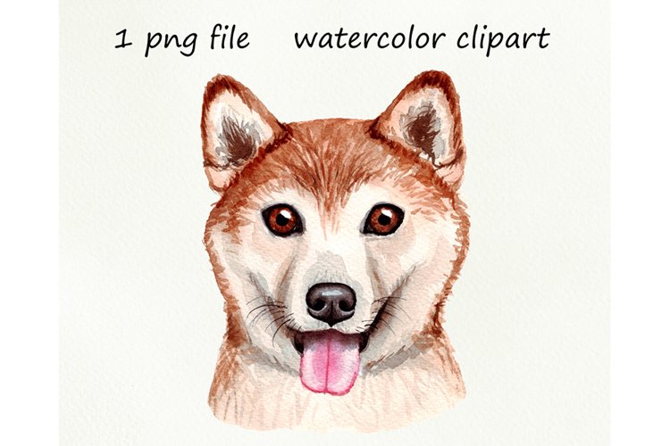 Animal Drawing Image 15