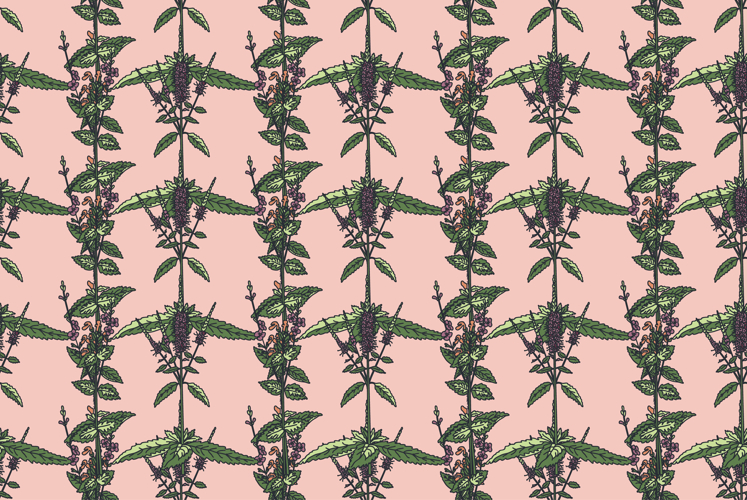Flower Vector Image 22