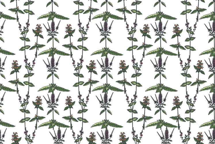 Flower Vector Image 20