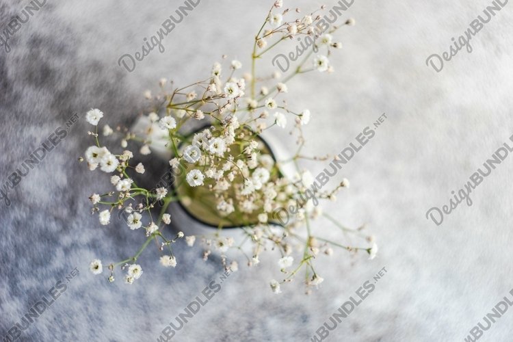 White gypsophila flowers in the ceramic vase