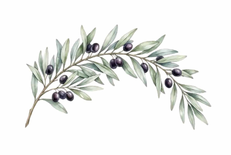 Wedding Illustration Image 18