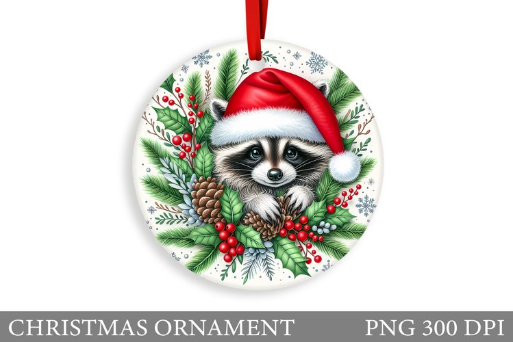 Raccoon Clipart Image 17