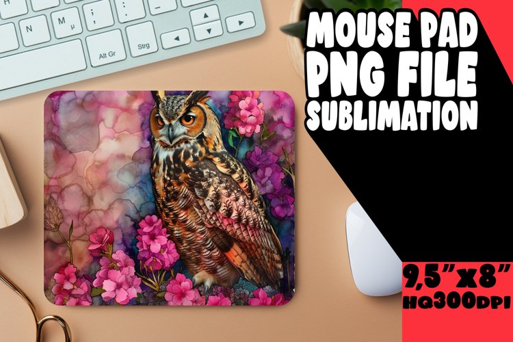 Owl Clipart Image 13
