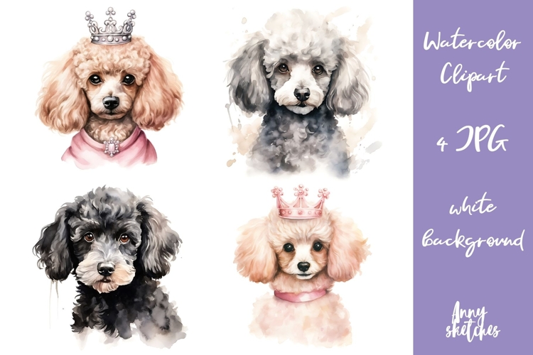 Pet Illustration