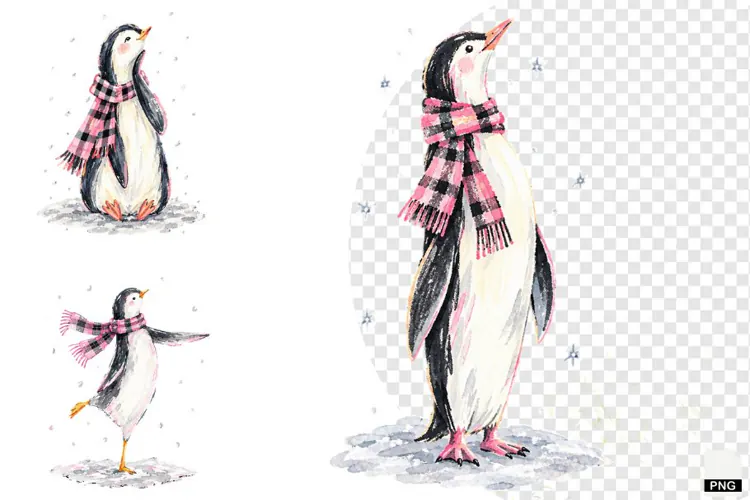 Winter Penguin PNG