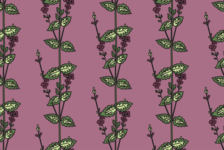 Flower Vector Image 15