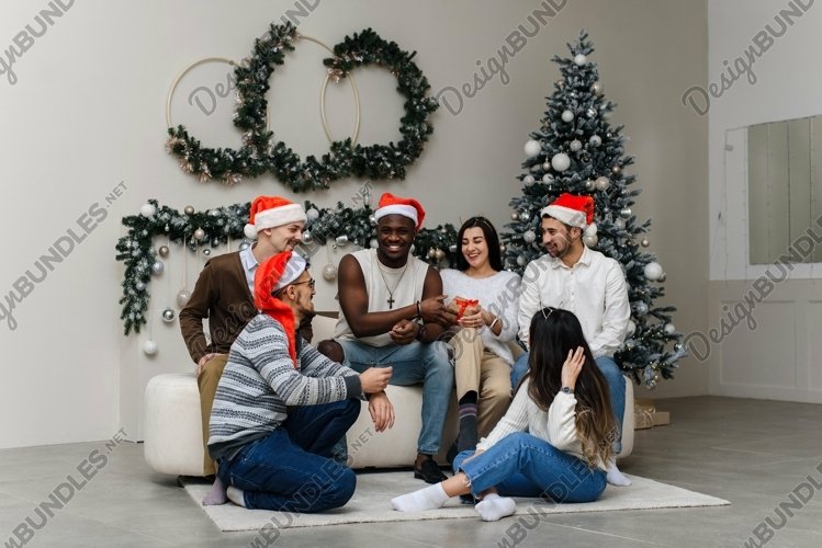 Portrait of smiling multiethnic friends at home example image 1