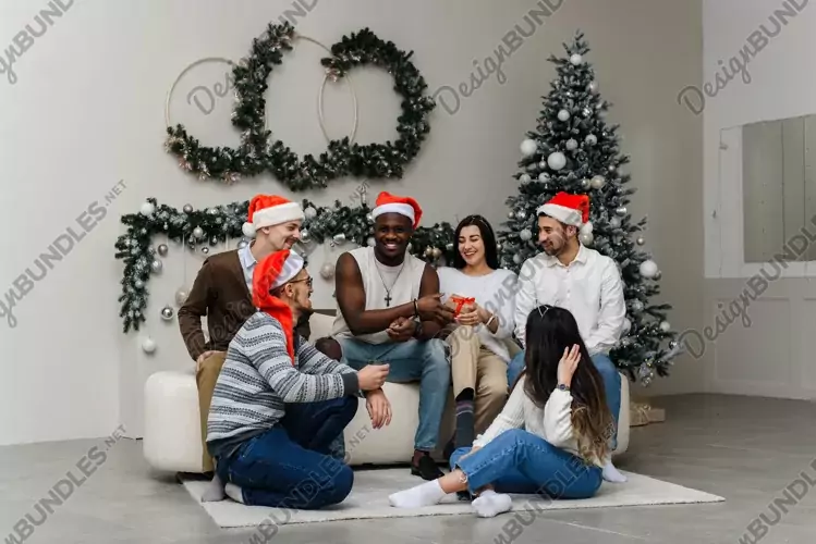 Portrait of smiling multiethnic friends at home