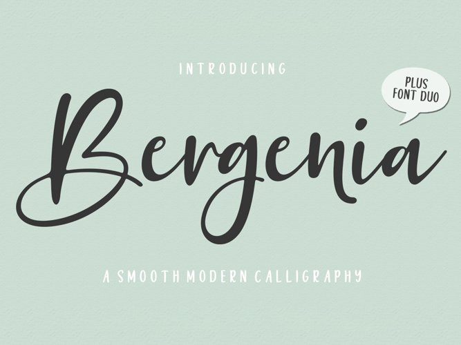 Font Collection Bundle
