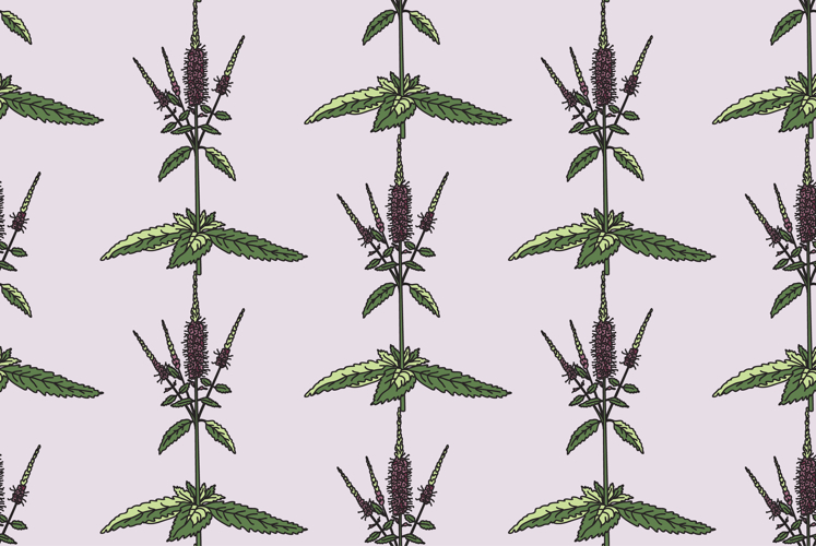 Pastel Purple Background Image 12