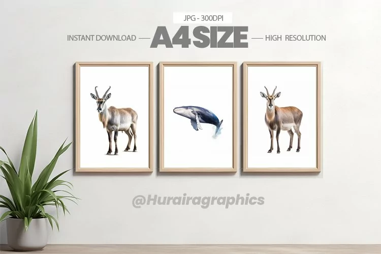 Animal Wall Art - 03 Variations