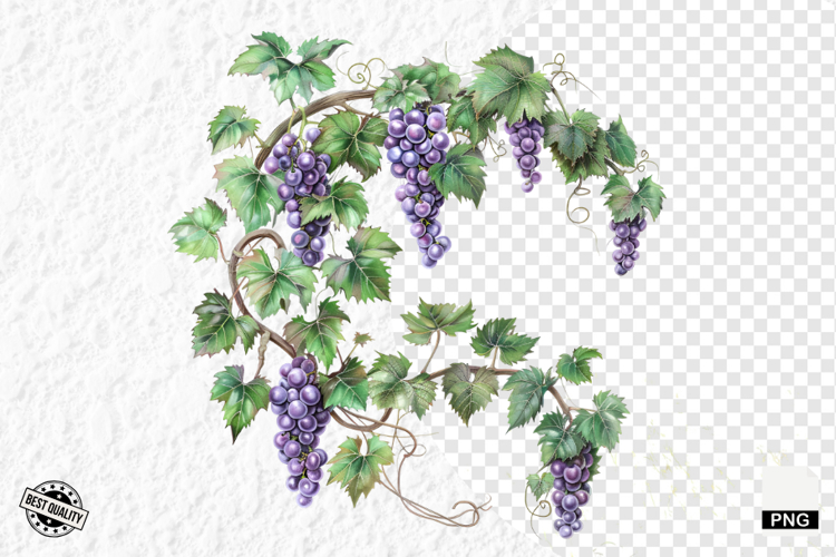 Summer Clipart Image 24
