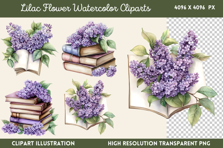 Lilac Illustration Image 2