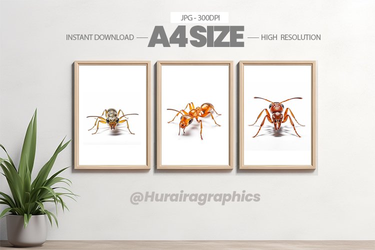 Animal Wall Art - 03 Variations