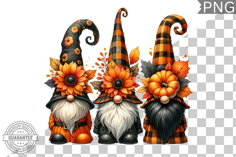 Gnome Clipart Image 12