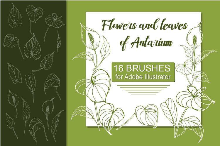 Flowers Vector Image 16