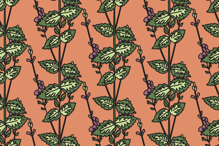 Boho Clipart Image 6
