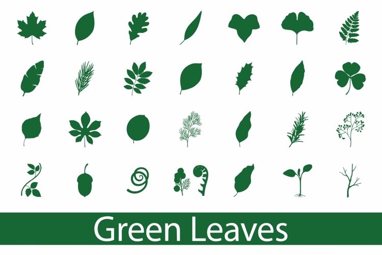 Green Leaves Clipart