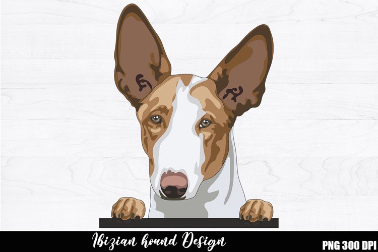 T-Shirt Designs Image 18