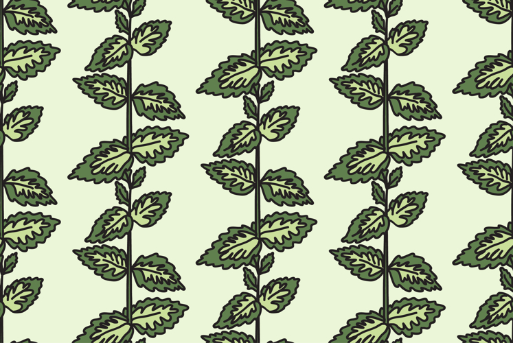 Pastel Green Background Image 4