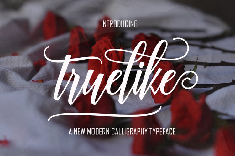 Fantastic Super Big Bundle