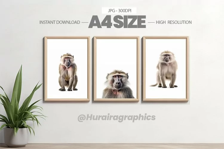Safari Animal Wall Art - 03 Variations