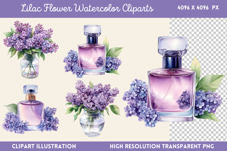 Lilac Illustration Image 3